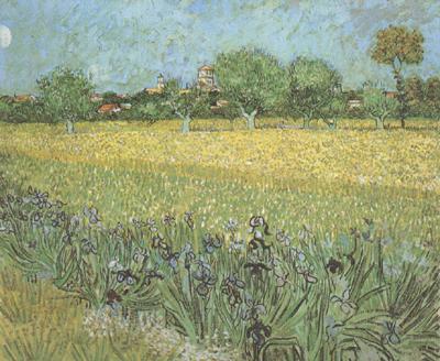 Vincent Van Gogh View of Arles with Irises in the Foreground (nn04) china oil painting image